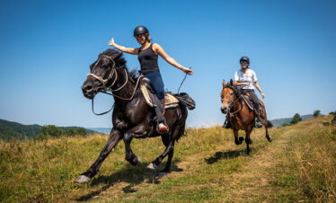 Day Trip to Horseback Riding Adventure