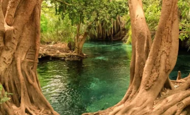 Day Trip to Chemka Hot Springs – Maji Moto Oasis