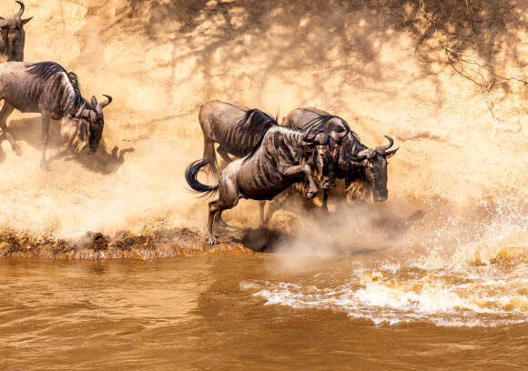 𝘿𝙞𝙨𝙘𝙤𝙫𝙚𝙧𝙞𝙣𝙜 𝙏𝙖𝙣𝙯𝙖𝙣𝙞𝙖: 𝙈𝙤𝙧𝙚 𝙏𝙝𝙖𝙣 𝙅𝙪𝙨𝙩 𝙖 𝘿𝙚𝙨𝙩𝙞𝙣𝙖𝙩𝙞𝙤𝙣, 𝙄𝙩’𝙨 𝙖 𝙁𝙚𝙚𝙡𝙞𝙣𝙜