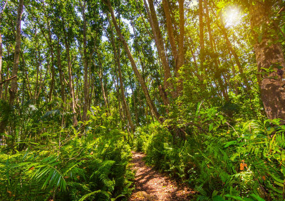 𝙏𝙝𝙚 𝙍𝙝𝙮𝙩𝙝𝙢 𝙤𝙛 𝙏𝙖𝙣𝙯𝙖𝙣𝙞𝙖 – 𝙏𝙧𝙖𝙫𝙚𝙡 𝙏𝙝𝙖𝙩 𝙎𝙥𝙚𝙖𝙠𝙨 𝙩𝙤 𝙏𝙝𝙚 𝙎𝙤𝙪𝙡