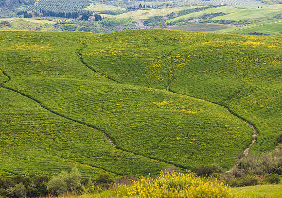 𝙏𝙝𝙚 𝙎𝙞𝙡𝙚𝙣𝙘𝙚 𝙤𝙛 𝙏𝙖𝙣𝙯𝙖𝙣𝙞𝙖 – 𝙒𝙝𝙚𝙧𝙚 𝙏𝙝𝙚 𝙎𝙤𝙪𝙡 𝙁𝙞𝙣𝙙𝙨 𝙍𝙚𝙨𝙩