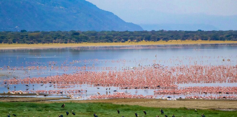 lake-manyara-1
