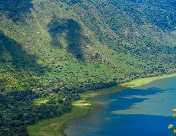 𝙃𝙞𝙙𝙙𝙚𝙣 𝙂𝙚𝙢𝙨 𝙤𝙛 𝙏𝙖𝙣𝙯𝙖𝙣𝙞𝙖 – 𝘽𝙚𝙮𝙤𝙣𝙙 𝙩𝙝𝙚 𝙎𝙖𝙛𝙖𝙧𝙞 𝙏𝙧𝙖𝙞𝙡𝙨